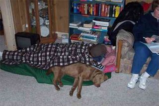 someone_sleeping.jpg (large)